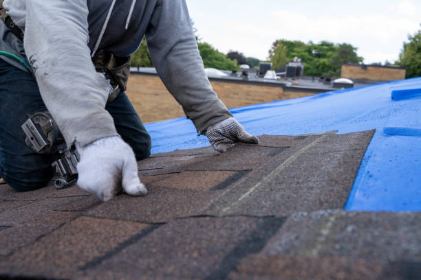 Best Emergency Roof Repair  in Oak Forest, IL